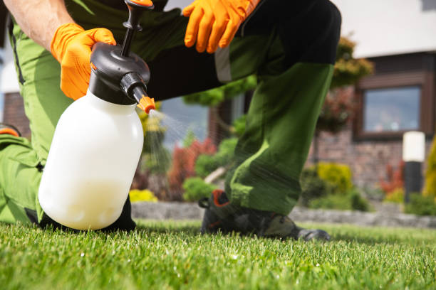 Best Pest Control for Businesses  in Lomira, WI