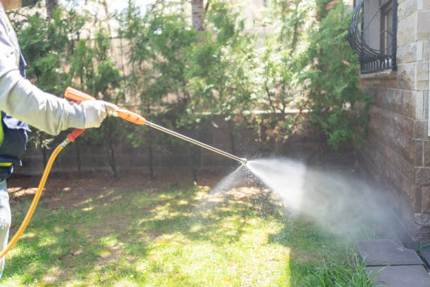 Best Wasp Removal Services  in Lomira, WI